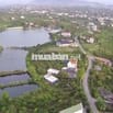 BÁN ĐẤT NỀN THỊ XÃ CHŨ BẮC NINH