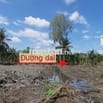 Chỉ còn 1 công đất vườn đẹp ở Nhơn Bình, Trà Ôn (cũ)!