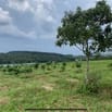 Bán lô đất View hồ có 400m thổ cư, tổng diện tích 8800m2