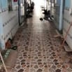 Cần Bán Nhanh Dãy Trọ 12 Phòng Ngay Lộc Trát Gia Lộc Trảng Bàng 310m2 