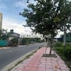 HÀNG NGỘP ĐƯỜNG MẶT TIỀN NGUYỄN DU NỠ HẬU