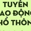 Tuyển Lao Động Phổ Thông Quận 12