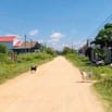 Siêu Phẩm Đất Xào Gần Biển Lagi 23x75m (2422m2) Thổ cư Mặt tiền Đường 