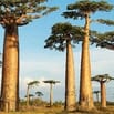 TUYỂN TÀI XẾ XE Ô TÔ 5 CHỔ LÁI XE CHỞ LÃNH ĐẠO ĐI CÔNG TÁC NGÀY 