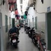 Chính chủ bán dãy trọ 256m2, đường 13, Quận 2, gồm 14 phòng TN 60tr/th