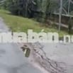 Bán vườn mít .Dt 1090m. Đất đẹp- giá tốt