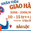TÌM KIẾM 3 SHIPPER ĐƠN ỔN LƯƠNG CAO