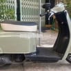 Julio 50cc