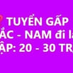 TUYỀN GẤP LÁI XE BẮC - NAM (đi làm ngay)