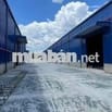 GIỚI THIỆU:   NHÀ XƯỞNG CHO THUÊ TẠI NAM TÂN UYÊN - BÌNH DƯƠNG