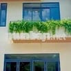 BÁN GẤP CĂN NHÀ NGỘP❤️‍🔥❤️‍🔥❤️‍🔥❤️‍🔥❤️‍🔥