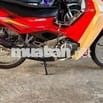 Sport HQCN 120/98