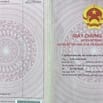Bán đất tại Nghĩa Đàn Nghệ An thông qua đấu giá là TSBĐ tại MSB lần 2