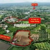 7500m2 đất Xuân Đông, Cẩm Mỹ , full hồng chỉ 700tr/sào