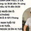 tuyen nhân viên làm ca chiều hoặc full time nuôi ăn ở lương cao