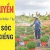 Tuyển Gấp 02 Vợ Chồng Làm Vườn Kiểng Tại Huyện Củ Chi TP.HCM – Bao Ở