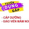 Trường Mầm non Quốc Tế Thiên Thần Nhỏ cần tuyển: Cấp dưỡng; Giáo viên