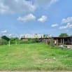 🌿 Bán đất vườn Gò Dầu – 1150m²  – Giá rẻ như cho, chỉ 920 triệu!