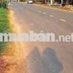 Cần Bán Đất Ngay Chợ Hảo Đước 12x88 Giá 2T8xx