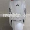 Kymco Like 50cc Bstp