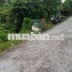 🌟 Đất hơn 1 công giáp DT903, gần TT Cái Nhum