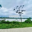 Chính Chủ Đất Nở Hậu View Sông- Đối Diện Hội An- Ở,Kinh Doanh Homestay