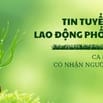 CỬA HÀNG BÁCH HÓA MÌNH VỪA KHAI TRƯƠNG CẦN NGƯỜI PHỤ BÁN HÀNG DỊP TẾT
