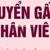 Cửa hàng cần tuyển nhiều vị trí làm vào cuối năm. Không cần kinh nghiệ