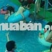 sang nhượng toàn bộ  Khu vui chơi dưới nước