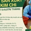TUYỂN GẤP 50 NAM/NỮ SẢN XUẤT KIM CHI TẠI KCN TÂN KIM, LONG AN