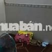 Nhà cho thuê đúc 2 tấm 6 phòng ngủ rẻ bèo