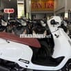 ATTILA 50cc - 2020 Xe Zin Êm Đẹp - BS 68