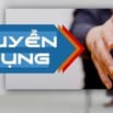 Tuyển gấp 02 nhân viên đóng gói quà mùa Noen