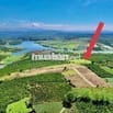 Đất View hồ sổ sẵn gần Đà Lạt - Phúc Thọ Lâm Hà