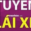 Cần tuyển 5 tài xế xe tải + 10 công nhân theo xe tải vận chuyển nhà