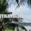 222m² đất vườn ven sông Cửa Tiểu – giá chỉ 160 triệu! 🌿🍍🌱