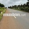 Bán đất thổ cư bên đường Quốc lộ 14, xã Thuận An, tỉnh Lâm Đồng