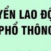 Công ty Thuỷ sản Trường Thịnh tuyển nam nữ lao động phổ thông