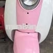 Bán Scoopy 50cc Nội Địa Nhật