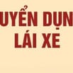 Cần tuyển lái xe quanh khu vực Nghi Tàm, phường Hồng Hà - Hà Nội