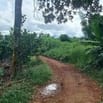 Thông báo đấu giá tài sản bảo đảm của khách hàng Trương Thiện Tâm