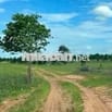 Đất Vườn 5161m² ,  Bình Thuận , Đường xe hơi , Sổ Riêng ...