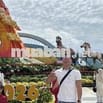 🔥🔥 ĐẤT ĐẸP AN NHƠN – BÌNH ĐỊNH | KDC QUY HOẠCH BÀI BẢN | SỔ HỒNG RIÊNG