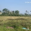 Thông báo đấu giá tài sản của ông Lê Văn Bang và bà Phạm Hồng Ngọc 