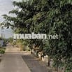 Bán Đất Thổ cư đẹp, giá hạt dẻ