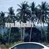 Hyundai Avante Trắng 5 chỗ