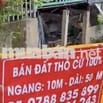 ĐẤT MẶT TIỀN 100% THỔ CƯ - 2 SỔ RIÊNG (10x50m) CHÍNH CHỦ XÃ QUỐC THÁI