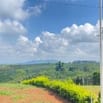 Bán đất nghỉ dưỡng ngay Quốc Lộ 20, Hoà Ninh. DT 150m2 SHR thổ cư 90m2