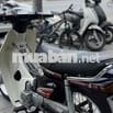 Honda Dream Thái Trắng Đỏ đô