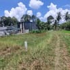 650m2 đường xe hơi. Dân cư đông. Đất đẹp lập vườn. Chỉ 350tr